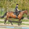 Babie Lato 2016